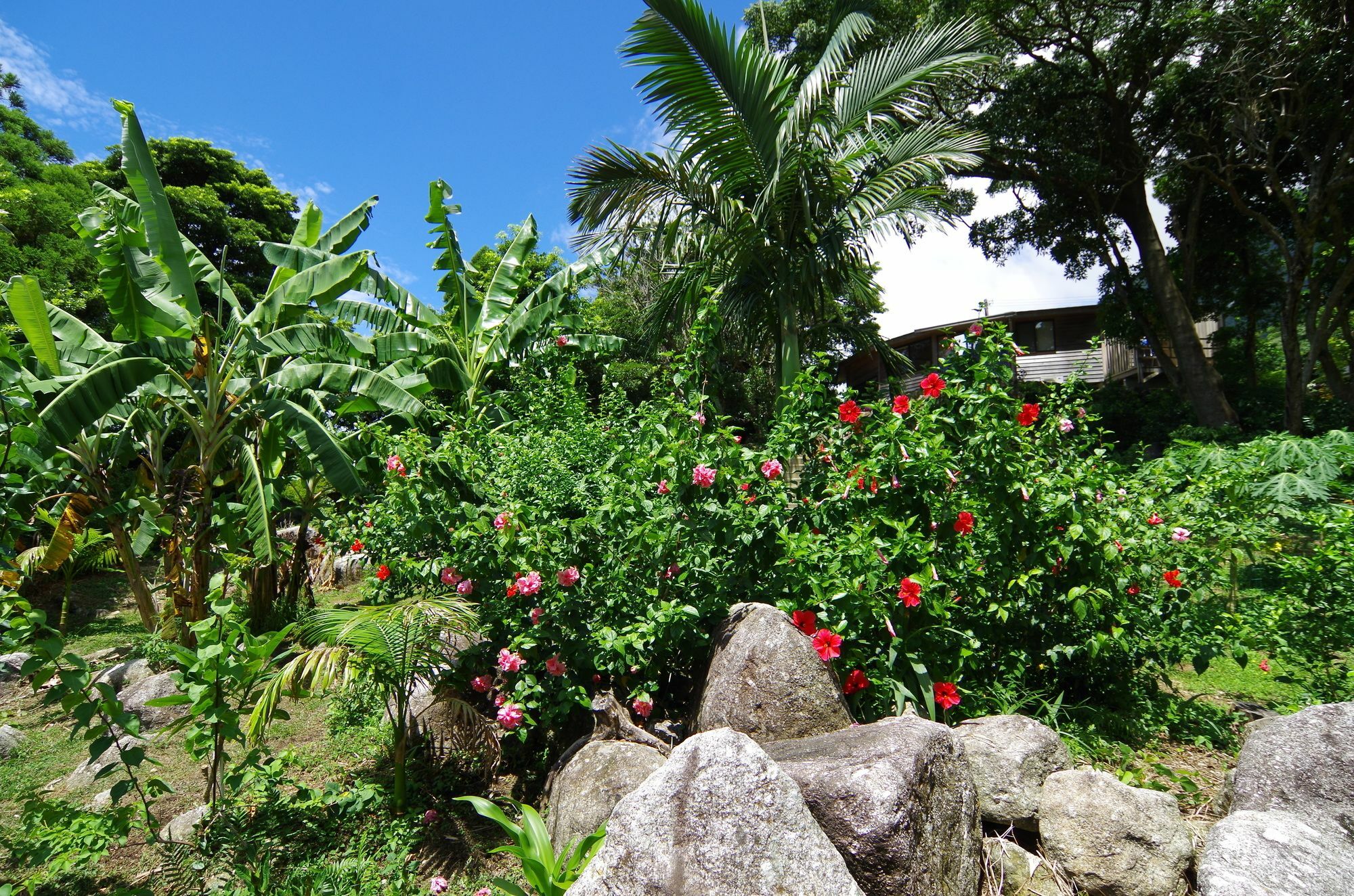 Cottage Views Yakushima  Esterno foto